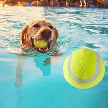 2pcs Dog Toys Elastic Tennis Balls For Small, Medium And Large Dogs, Chew Resistant Rubber Training Balls, Pet Supplies - Green - View 3
