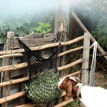 3pcs Durable Slow Feed Hay Net, Suitable For Horses And Goats - Easy To Fill, Large Opening Design - Black And White Color, Small Mesh Hole, - Multicolor - View 5