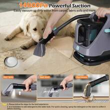 HHD Smart Fabric Cleaner | Cold & Hot Dual Mode Switching | Sofa, Carpet, Mattress Stain Removal | Essential For Pet Households - Green - View 3