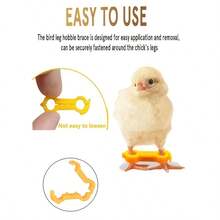 12pcs Bird Leg Bands, 3 Sizes, Suitable For Newborn Chicks, Quail, Ducklings, Parrots And Orphaned Young Birds - Multicolor - View 2