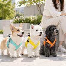 2pcs Lightweight 8-Shaped Pet Harness & Leash Set, Breathable 3D Mesh Lining, Soft SCR Outer Edge With Fine Craftsmanship, Wear-Resistant Lock Stitching, POM Quick-Release Buckle, Reinforced Dual Metal Rings, Adjustable Webbing Length, Easy To Wear And Secure Anti-Escape, Multiple Colors, Suitable For Small And Medium Dogs, Teddy, Bichon, Poodle, Outdoor Walking And Pet Outings, Comfortable And Skin-Friendly, Multiple Sizes To Fit Different Dogs - Blue - View 9