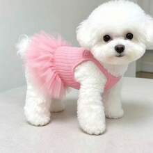 1pc Pet Princess Ballet Dress, Pink & Blue Tulle Mesh, With Leash Hole, Strawberry Decoration, Breathable & Lightweight Fabric, Suitable For Small Dogs & Cats, Fits Teddy, Bichon, Schnauzer, For Daily Wear, Pet Gatherings, Outdoor, Parties & Photo Shoots - Multicolor - View 19