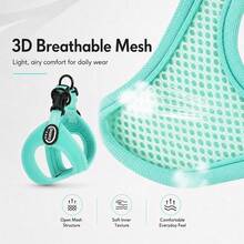 2件組輕量8字型寵物胸背帶與牽繩套組，透氣3D網布內裡，柔軟SCR外緣精湛工藝，耐用鎖縫，安全POM快拆扣，加固雙金屬環，可調節肩帶長度，易穿戴且防逃脫，多色高美感，適合小型與中型犬、泰迪、比熊、貴賓犬，戶外散步與寵物出遊，舒適親膚，多尺寸可適配不同狗狗 - 綠色 - 查看 5
