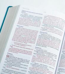 Biblia Temas Cotidianos Para Mujeres Piel especial, Turquesa 10pts - Libro único - Ver 2