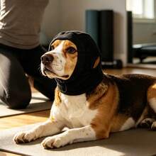 Ear Protection For Dogs Breathable Soundproof Calming Adjustable Soft Dog Ear Muffs Noise Protection For Grooming Bathing - Black - View 4