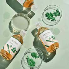 Round Lab | Mugwort Calming Toner - 300 ml - Beruhigender Toner - Übersicht 2