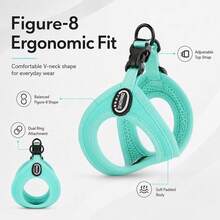 2pcs Lightweight 8-Shaped Pet Harness & Leash Set, Breathable 3D Mesh Lining, Soft SCR Outer Edge With Fine Craftsmanship, Wear-Resistant Lock Stitching, POM Quick-Release Buckle, Reinforced Dual Metal Rings, Adjustable Webbing Length, Easy To Wear And Secure Anti-Escape, Multiple Colors, Suitable For Small And Medium Dogs, Teddy, Bichon, Poodle, Outdoor Walking And Pet Outings, Comfortable And Skin-Friendly, Multiple Sizes To Fit Different Dogs - Blue - View 6