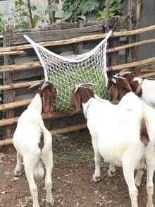 3pcs Durable Slow Feed Hay Net, Suitable For Horses And Goats - Easy To Fill, Large Opening Design - Black And White Color, Small Mesh Hole, - Multicolor - View 7
