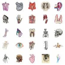 50Pcs Aesthetic Anatomy Waterproof Stickers, Floral Ribcage Human Body Organ Decals, Unique Decor Supplies For Notebook, Laptop, Water Bottle, Journaling - A - View 8