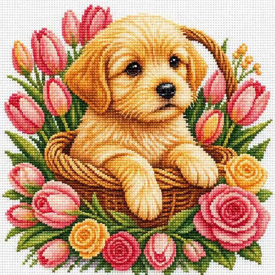 1 Set Perlengkapan Sulam Silang Hewan Peliharaan Lucu 11CT 38*38cm Pola Bunga Keranjang Anak Anjing Mawar Tulip Buatan Tangan DIY Pemula Dekorasi Rumah