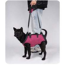 Shockproof Dog Lift Harness For Senior Pets With Containing Garbage Samll Bags,Designed Specifically For Small And Medium-Sized Dogs, It Offers Comprehensive Support, Providing Full Back And Chest Support. The Reflective Strip Design Makes. - Multicolor - View 13