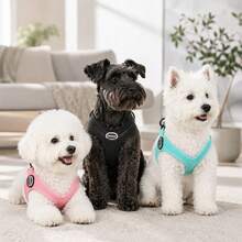 2pcs Lightweight 8-Shaped Pet Harness & Leash Set, Breathable 3D Mesh Lining, Soft SCR Outer Edge With Fine Craftsmanship, Wear-Resistant Lock Stitching, POM Quick-Release Buckle, Reinforced Dual Metal Rings, Adjustable Webbing Length, Easy To Wear And Secure Anti-Escape, Multiple Colors, Suitable For Small And Medium Dogs, Teddy, Bichon, Poodle, Outdoor Walking And Pet Outings, Comfortable And Skin-Friendly, Multiple Sizes To Fit Different Dogs - Blue - View 10