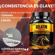 MEGNETA Vitamins/Minerals - 3 Bottles - View 3