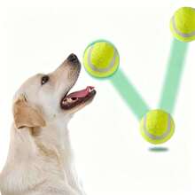 2pcs Dog Toys Elastic Tennis Balls For Small, Medium And Large Dogs, Chew Resistant Rubber Training Balls, Pet Supplies - Green - View 6