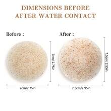 1-5PCS Walnut Konjac Facial Cleansing Sponges, Soft Face Wash Puffs For Makeup Removal, Gentle Exfoliating & Daily Skincare - Beige - View 4