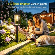 6 Pack Solar Pathway Lights Outdoor, Warm White LED Solar Garden Stake Lights, Solar Pathway Lights For Garden, Yard, Driveway & Patio - Quadratischer Wolframdraht - Übersicht 7