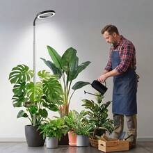 1 buah Lampu Tumbuh Tanaman LED Bertenaga USB, Lampu Cincin yang Dapat Diatur, Cocok untuk Tanaman Dalam Ruangan, Lampu Tanaman Spektrum Penuh, Dengan Timer 3/9/12 Jam, Dapat Diredupkan 9 Tingkat, Lampu Taman Dalam Ruangan Modern, Cocok untuk Ruang Tamu, Kamar Tidur, dan Dekorasi Rumah - Hitam - View 5