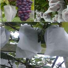 30/100 Kantong Pelindung Buah Jaring Non-Anyaman dengan Tali Serut, Penutup Buah Jaring untuk Anggur, Sayuran, dan Perlengkapan Berkebun - A - View 4