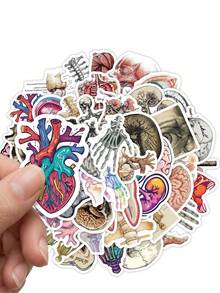50Pcs Vintage Human Anatomy Decorative Stickers, Skeleton Organ Skull Waterproof Stickers For Laptop, Water Bottle, Journal, Scrapbook - A - View 3