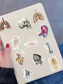 50Pcs Vintage Human Anatomy Decorative Stickers, Skeleton Organ Skull Waterproof Stickers For Laptop, Water Bottle, Journal, Scrapbook - A - View 5