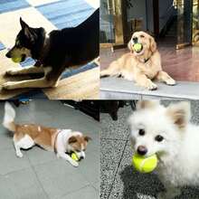 2pcs Dog Toys Elastic Tennis Balls For Small, Medium And Large Dogs, Chew Resistant Rubber Training Balls, Pet Supplies - Green - View 4