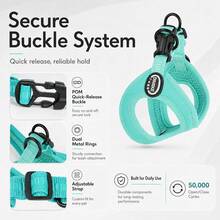 2pcs Lightweight 8-Shaped Pet Harness & Leash Set, Breathable 3D Mesh Lining, Soft SCR Outer Edge With Fine Craftsmanship, Wear-Resistant Lock Stitching, POM Quick-Release Buckle, Reinforced Dual Metal Rings, Adjustable Webbing Length, Easy To Wear And Secure Anti-Escape, Multiple Colors, Suitable For Small And Medium Dogs, Teddy, Bichon, Poodle, Outdoor Walking And Pet Outings, Comfortable And Skin-Friendly, Multiple Sizes To Fit Different Dogs - Blue - View 4
