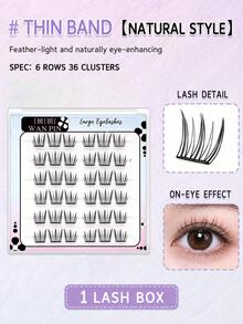 WAN PIN Cicada Wing 36 Clusters Glue-Free False Eyelashes, 12mm C Curl Natural Clustered Eyelashes, Ultra-Thin Lightweight Eyelash Segments, Soft Rounded Eyelash Roots, Suitable For Beginners, Easy To Wear, 2 Styles Available - C - View 9