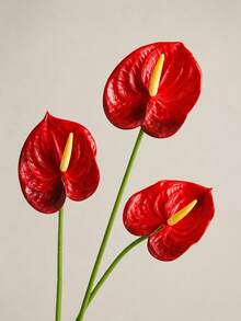 MEHELANY 5pcs Artificial Red Flamingo Flower, Long Stem Fake Plant For Party Home Vase Decor, Wedding Tabletop, DIY Bouquet, Women's Gift - Red - View 1