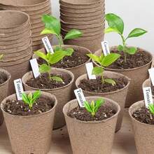1-Piece Floral Small Label PVC Water-Blocking Succulent Plant Label Stake For Gardening, Nursery And Flower Pots - Plant Labels - View 6