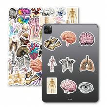 50Pcs Vintage Human Anatomy Decorative Stickers, Skeleton Organ Skull Waterproof Stickers For Laptop, Water Bottle, Journal, Scrapbook - A - View 6
