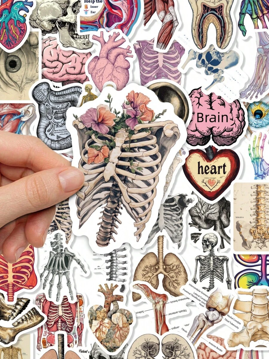 50Pcs Aesthetic Anatomy Waterproof Stickers, Floral Ribcage Human Body Organ Decals, Unique Decor Supplies For Notebook, Laptop, Water Bottle, Journaling - A - View 1