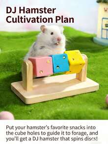 Wooden Fun Cube Toy, Suitable For Hamsters And Small Hamsters - Small Pet Hiding Cave, Chewing Toy And Daily Supplies - View 5