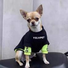 Sweatshirt Hewan Peliharaan dengan Manset Kontras, Pullover Kucing & Anjing Kerah Bulat dengan Cetakan Huruf, Bahan Elastis Lembut untuk Pemakaian Sehari-hari di Awal Musim Gugur, Cocok untuk Anjing Kecil dan Sedang - MultiWarna - View 11
