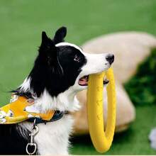 1pc Dog Rope Ring Toy Ball, Self-Entertainment To Relieve Boredom, Bite-Resistant And Tear-Resistant, Suitable For Interactive Tug-Of-War Games, Consumes Dog's Excess Energy, Durable And Sturdy, Daily Outdoor Pet Supplies - Multicolor - View 1