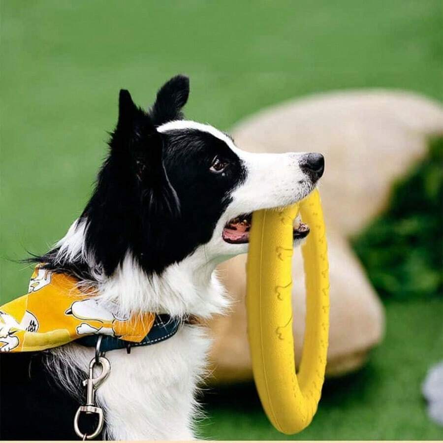 1pc Dog Rope Ring Toy Ball, Self-Entertainment To Relieve Boredom, Bite-Resistant And Tear-Resistant, Suitable For Interactive Tug-Of-War Games, Consumes Dog's Excess Energy, Durable And Sturdy, Daily Outdoor Pet Supplies - Multicolor - View 1