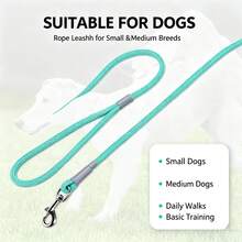 1pc Aesthetic Multi-Color Dog Leash, 59-Inch Bright Woven Nylon Pet Walking Rope, Heavy-Duty Durable Training Leash, Suitable For Small And Medium Dogs - Mint Blue - View 6