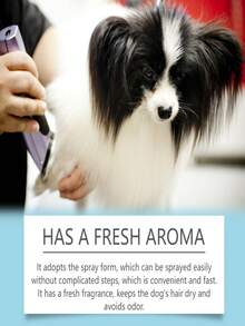 Dog Detangling Spray, Pet Anti-Matting Cleaning Smoothing Fluffy Grooming Spray - one-size - View 6