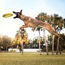 Indestructible Dog Toy – Chew-Resistant Flying Disc Designed For Aggressive Chewers, Perfect For Summer Pool, Beach Training, And Fetch Games, Durable And Waterproof, Suitable For Outdoor Play, Fits Small To Large Dogs – A Mother's Day Gift Choice - Multicolor - View 5