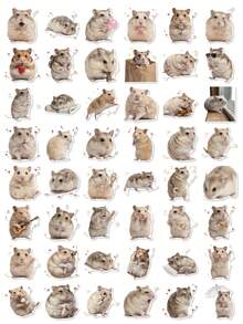 50Pcs Lovely Hamster Meme Stickers, Adorable Real‑Life Hamster Waterproof Stickers For Phone, Kindle, Notebook - Multicolor - View 10