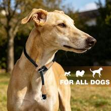 1pc Portable P-Rope Dog Collar, Adjustable Round Rope Slip Collar For Small, Medium And Large Dogs, Sturdy Anti-Choke Dog Neck Collar - Black - View 6