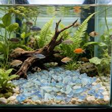 100g Opal Crushed Stone - Irregular Pebbles For Mini Aquariums, Succulents, Terrariums & Vase Filler - A - View 5
