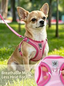 Adjustable Dog Harness And Leash Set With Reflective Strips, Escape-Proof And Tear-Resistant Pet Vest, Available In Pink, Purple, Black, Suitable For Cats And Small Dogs - Multicolor - View 5