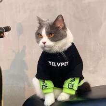 Sweatshirt Hewan Peliharaan dengan Manset Kontras, Pullover Kucing & Anjing Kerah Bulat dengan Cetakan Huruf, Bahan Elastis Lembut untuk Pemakaian Sehari-hari di Awal Musim Gugur, Cocok untuk Anjing Kecil dan Sedang - MultiWarna - View 7