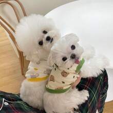 Squirrel Pattern Vest Cute Squirrel Design Spring Autumn Warm Sweatshirt Rabbit Pet Accessories Supplies Comfortable Soft Skin-Friendly Breathable Cotton Knit Pet Clothing Lop Ear Rabbit Guinea Pig Dutch Pig Small Pet Universal Home Outdoor Photo Daily Pet Clothes - Multicolor - View 7