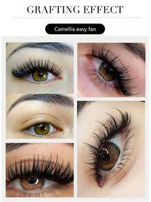 B/C/CC/D Curl Easy-To-Fan Dense Eyelash Extensions Handmade Fan Eyelash Strips Single Eyelashes 0.05/0.07mm Thickness - C - View 7