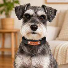 Collar personalizado de cuero PU suave para perros y gatos, dulce y lindo, grabado con láser CO2, con forro - Multicolor - Ver 11