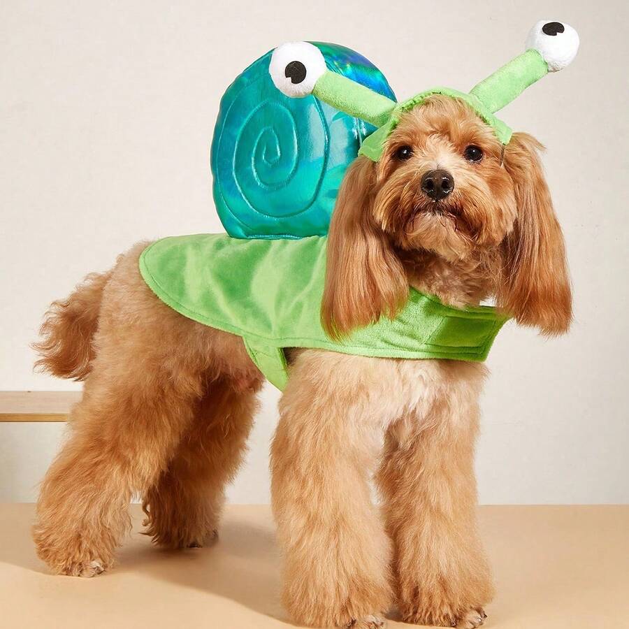 BJAYPET Kostum Siput Lucu untuk Anjing, Hiasan Kepala Antena Mata Besar 3D dengan Aksesori Cangkang Siput Warna-warni, Pakaian Hewan Peliharaan Lucu untuk Foto Liburan untuk Anjing Kecil dan Sedang - MultiWarna - View 1