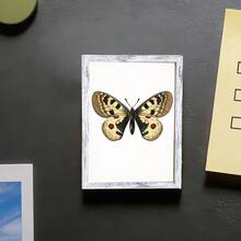 1pc Wooden Photo Frame Refrigerator Magnet - Exorcist Cat Fridge Decoration Magnet, Home Decor! - A - View 7