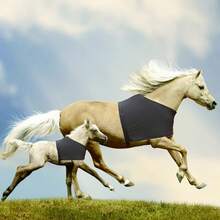 1pc Elastic Horse Rug With Shoulder Guard, Anti-Rub. Horse Fly Sheet For Outdoor Riding, Mosquito Proof - Multicolor - View 8