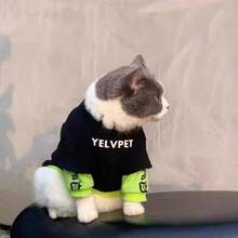 Sweatshirt Hewan Peliharaan dengan Manset Kontras, Pullover Kucing & Anjing Kerah Bulat dengan Cetakan Huruf, Bahan Elastis Lembut untuk Pemakaian Sehari-hari di Awal Musim Gugur, Cocok untuk Anjing Kecil dan Sedang - MultiWarna - View 10